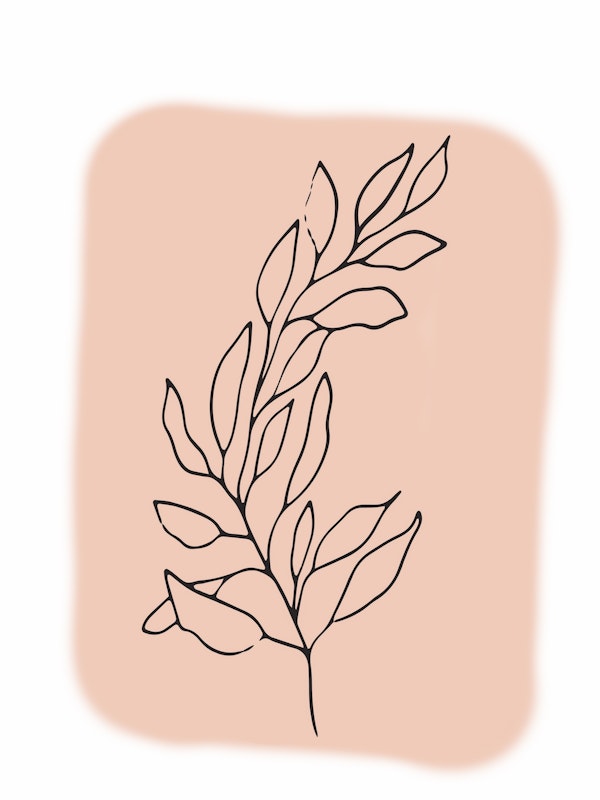 Minimal Line Art Leaf