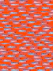 Sardines on Orange