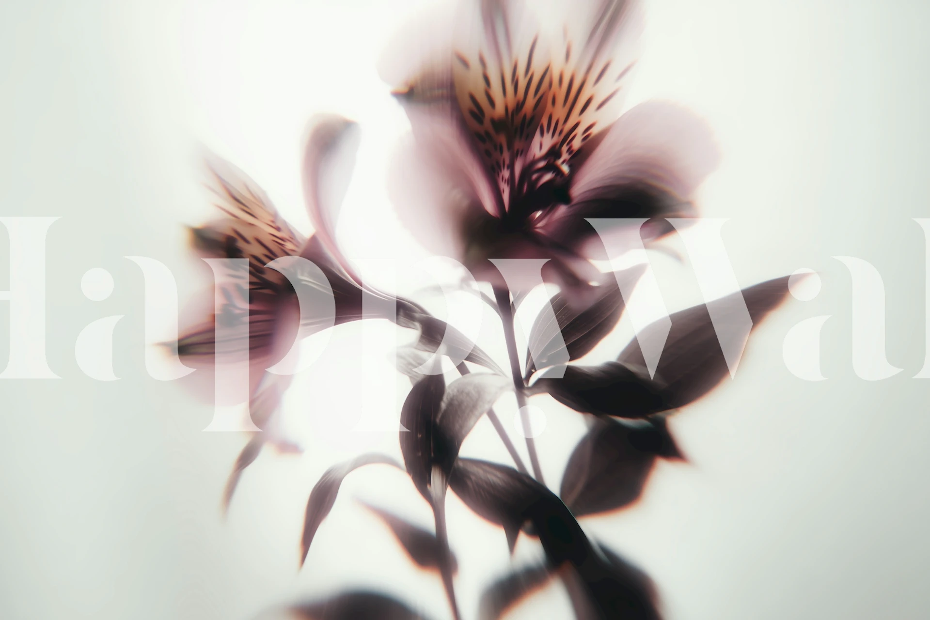 Delicate Lily Essence motion blur flowers wallpaper