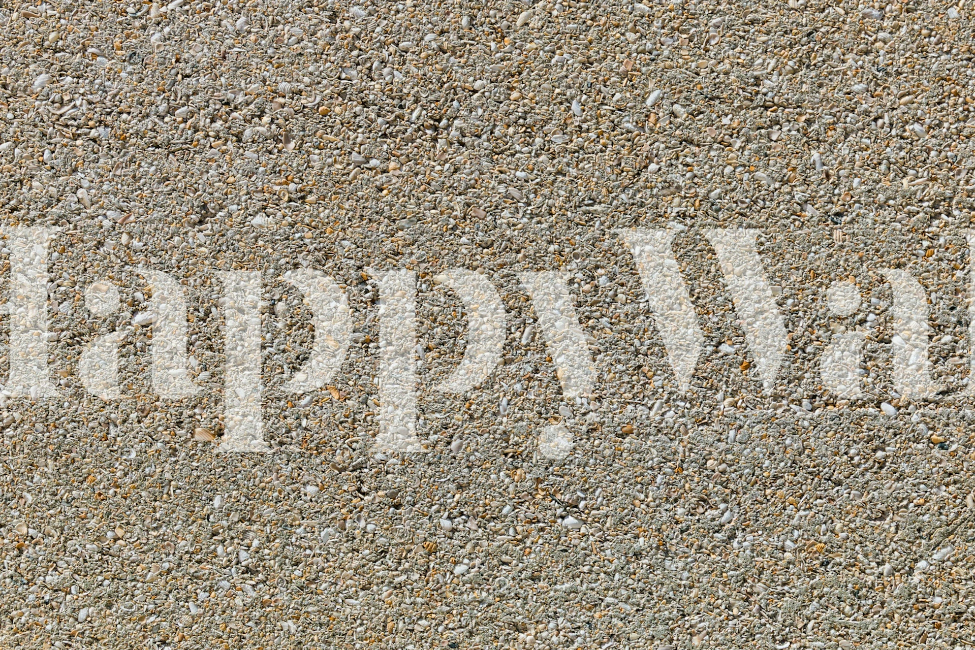 Textured Stone Seashells Harmony papel de parede em um quarto