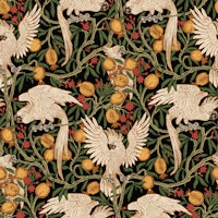 Cockatoo and Pomegranate in black wallpaper