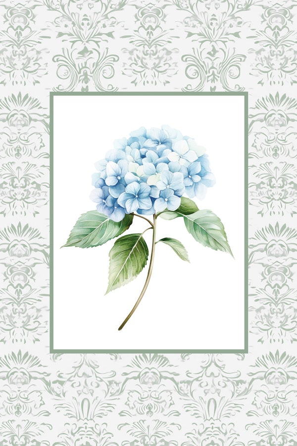 Elegant Blue Hydrangea