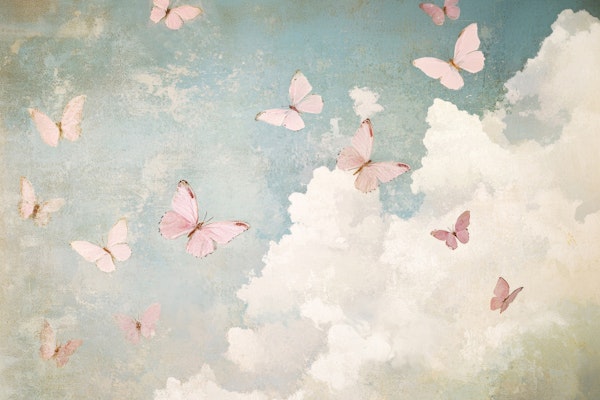 Dreamy Butterfly Skies
