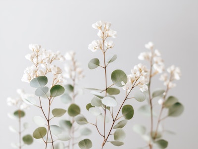 Τοιχογραφία