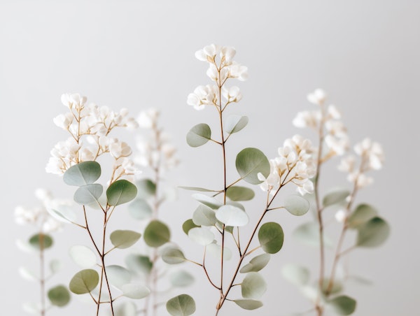 Soft Blooms Serenity