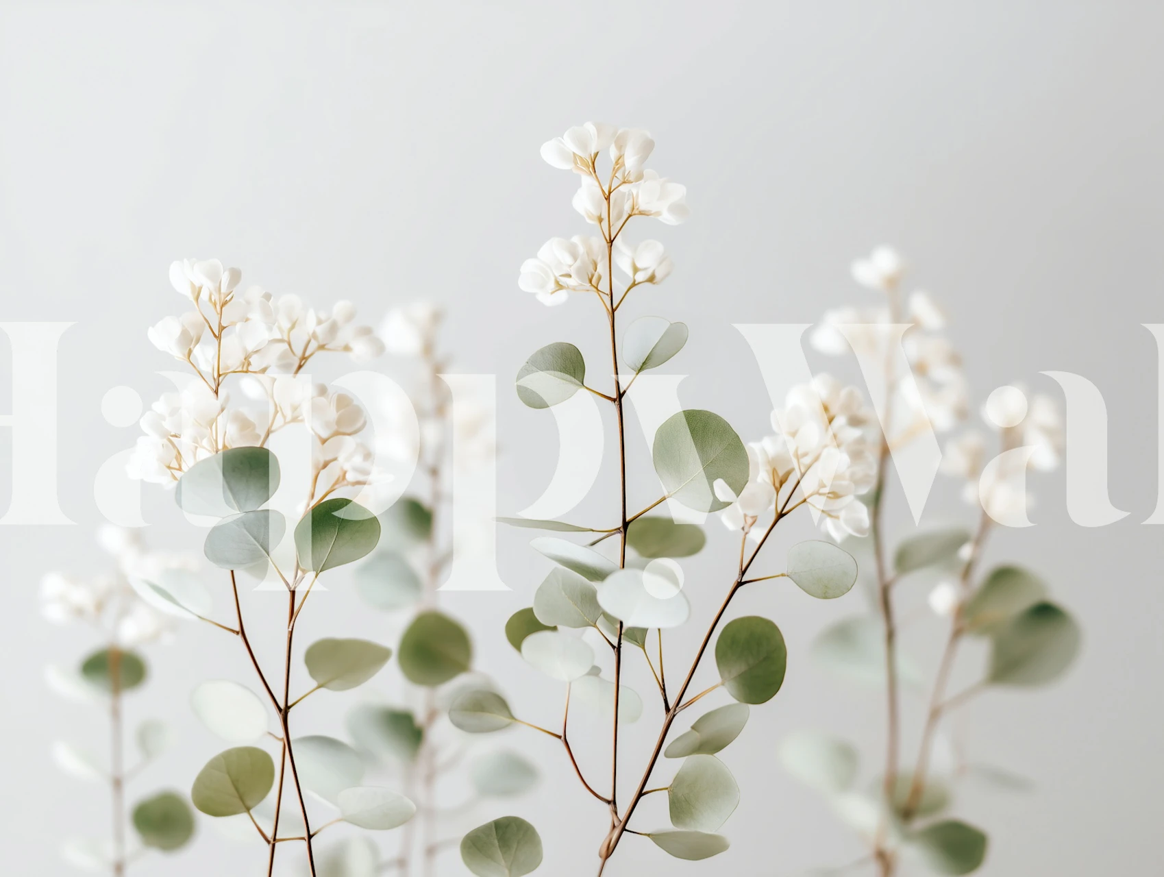 Soft Blooms Serenity wallpaper in a modern room