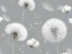Dandelion Dreams