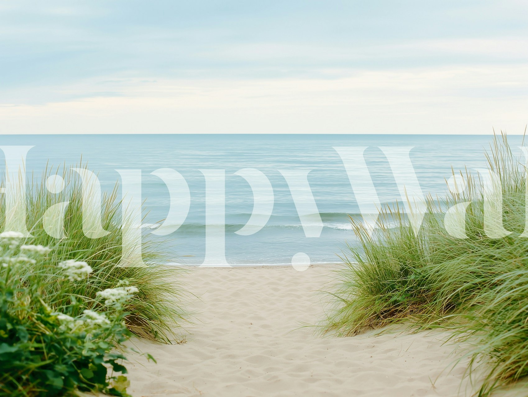 Coastal Dune Calm tapet i et rum