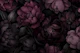 Nocturnal Mauve Gothic Garden Grace