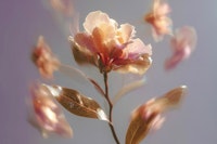 Gentle Petal Dance - Motion Blur Flowers wallpaper