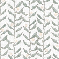 Eucalyptus Vine Flow White ταπετσαρία