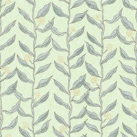 Eucalyptus Vine Flow Green wallpaper