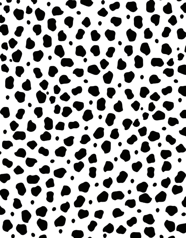 Cheetah Animal BW Print Glam 1