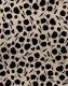 Animal Print Glam 1