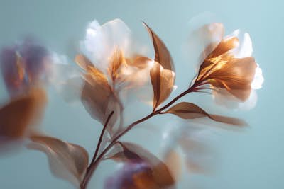 Τοιχογραφία