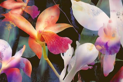 Τοιχογραφία