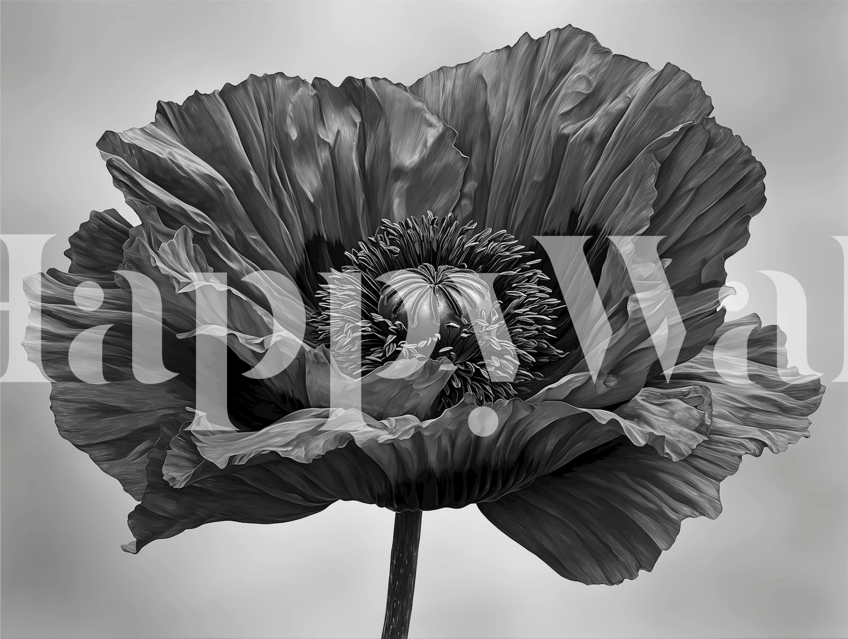 Monochrome Poppy Bloom tapet i en rumindstilling
