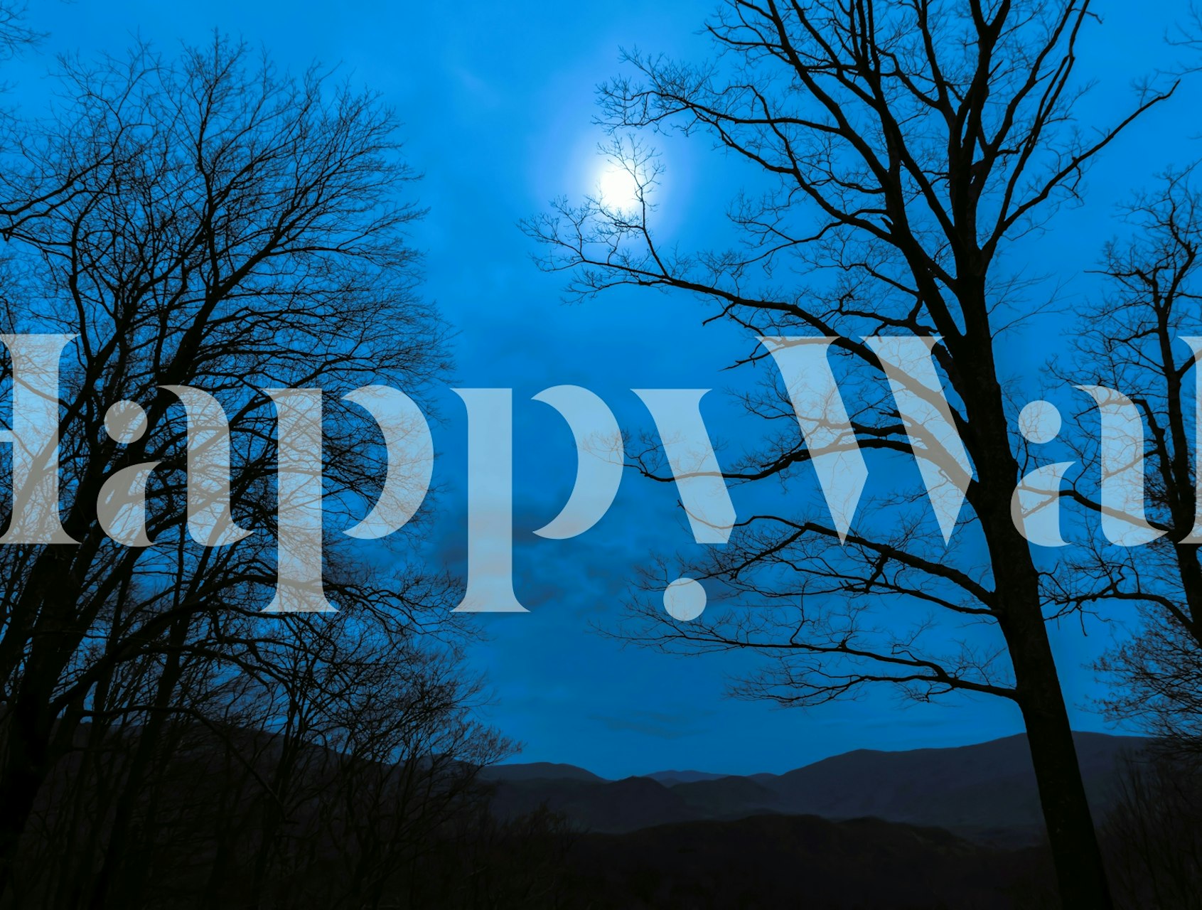 Moonlit Forest-behang getoond in een kamer