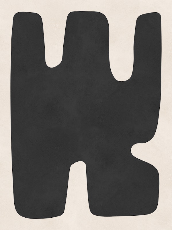 Abstract Monochrome Form