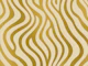 Golden Zebra Stripes