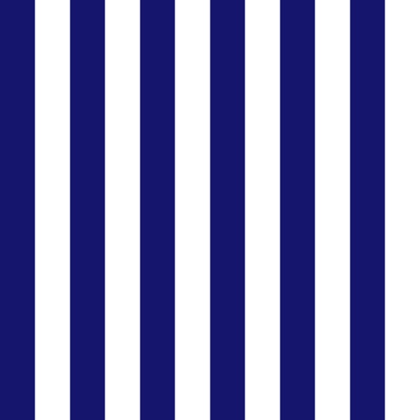 Navy Vertical Stripes