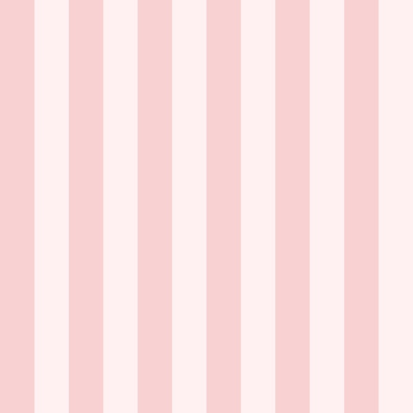 Chic Pink Stripes