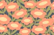 Happy Flowers in Peach Hue