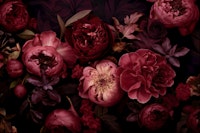 Victorian Grandeur Large Flowers Deep Red tapete