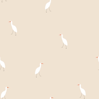 Modèle