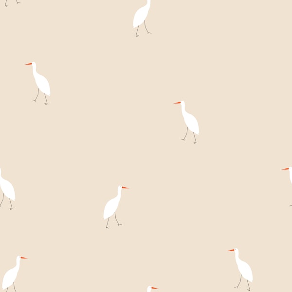Minimalist Bird Aesthetic