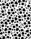 Animal Print Glam 4