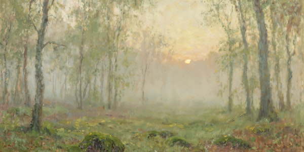 Misty Sunrise Forest