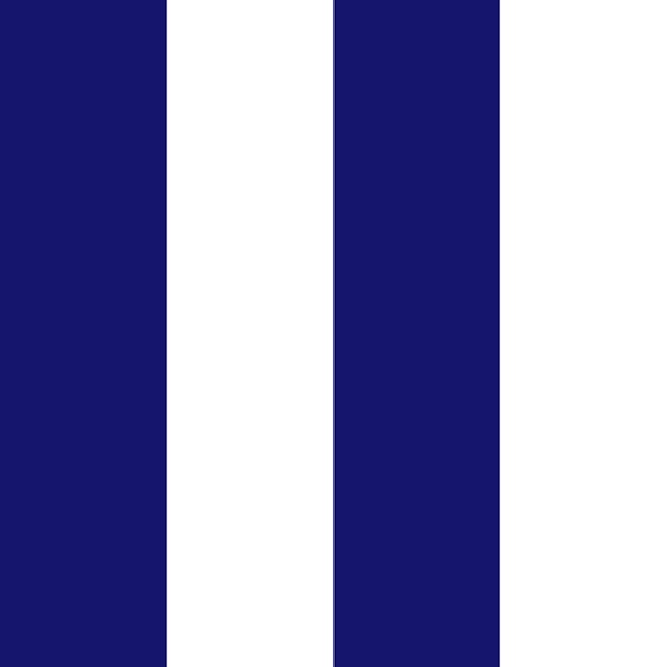Bold Navy Stripes