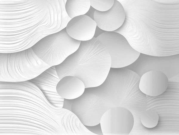 Textured White Harmony