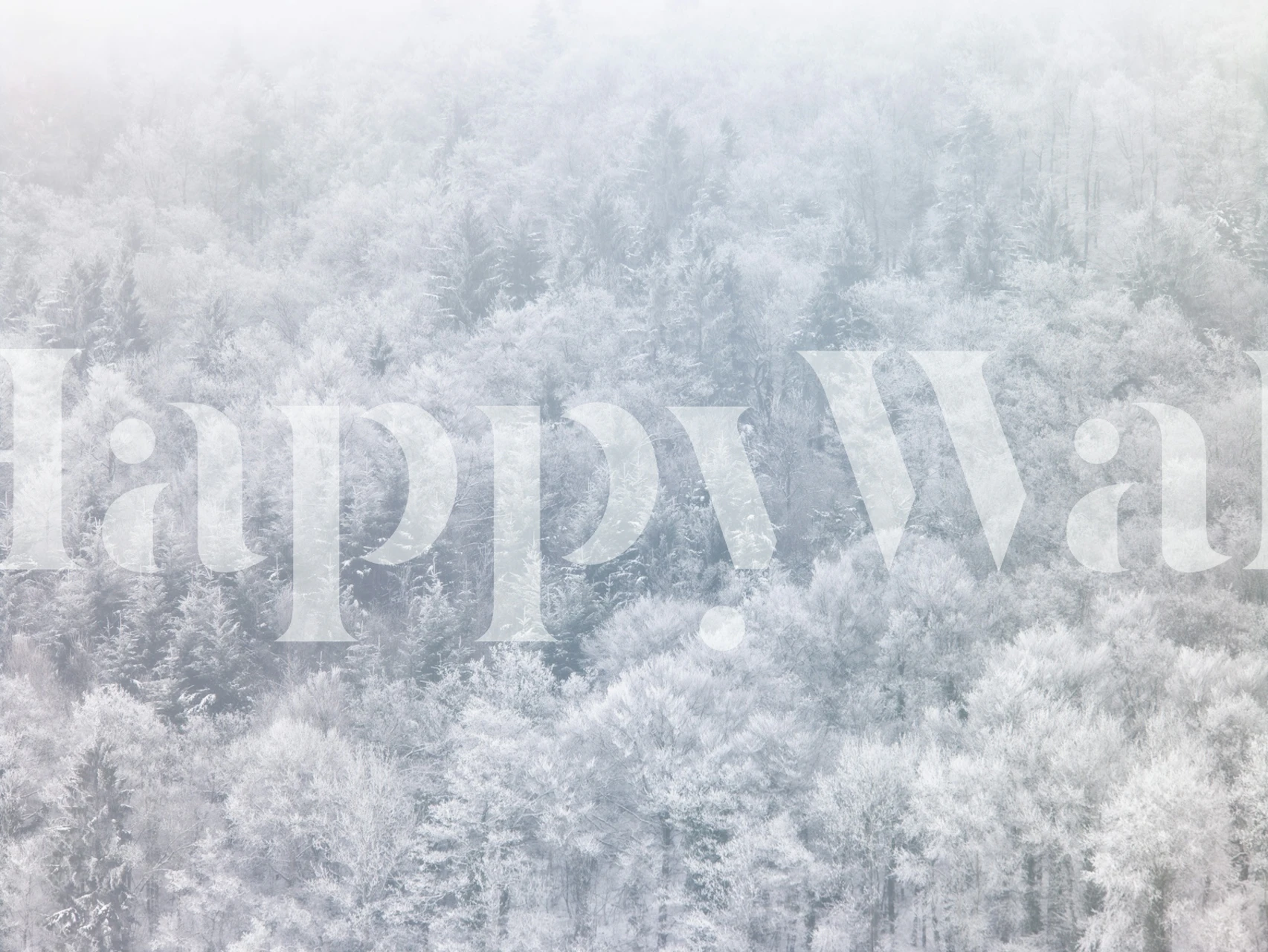 Snowy tree canopy in soft white and gray hues wallpaper