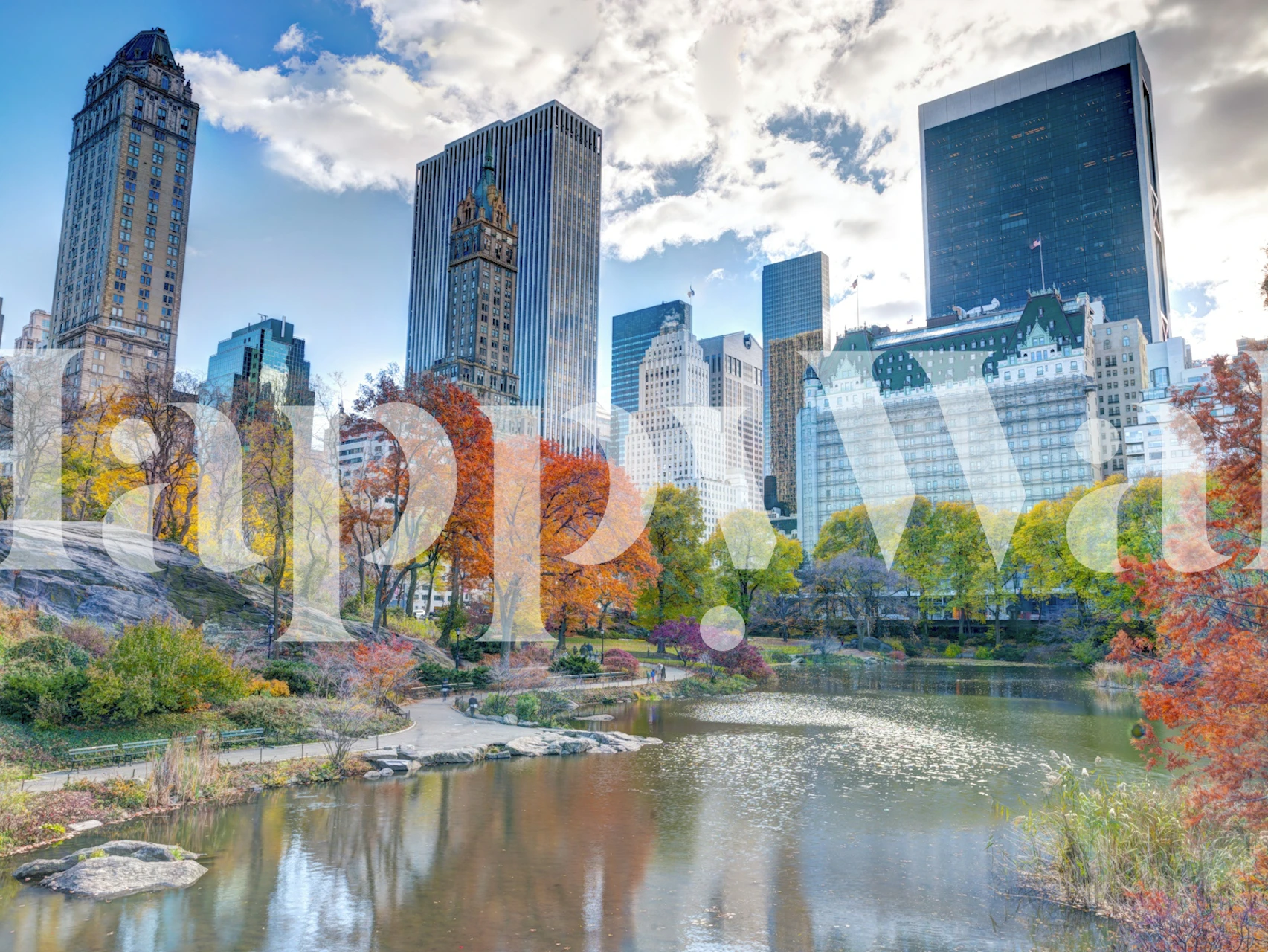 Pond at Central Park tapet i ett rum