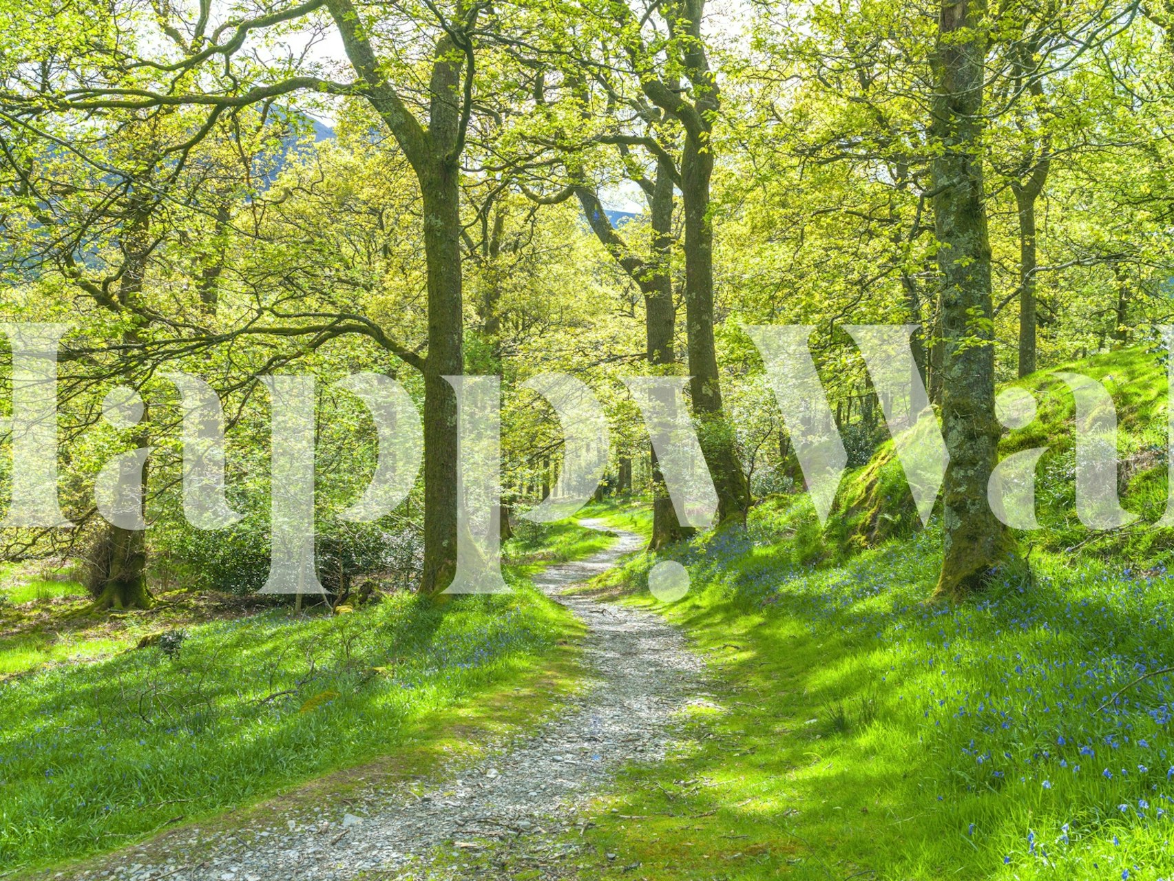 Path through lush green woods wallpaper