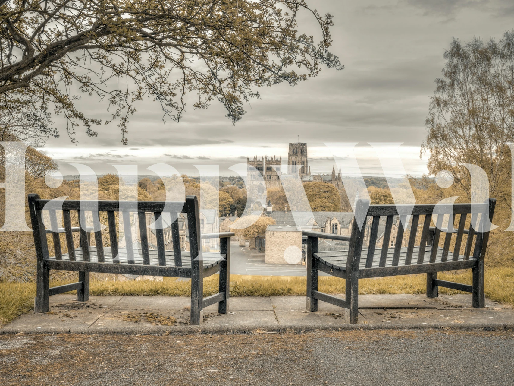 Autumn Bench Vista-tapet vist i et rom