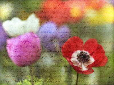 Mural