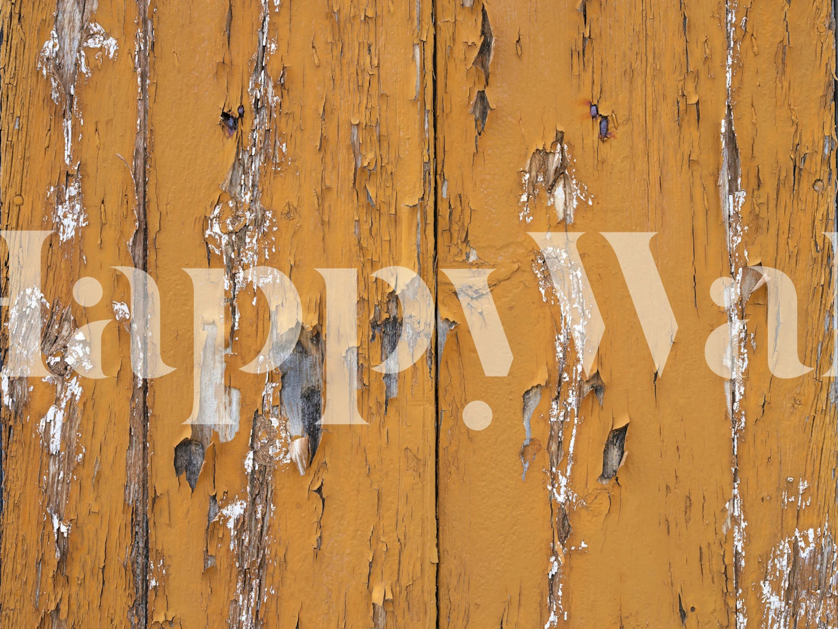 Rustic Orange Texture behang in een kamer