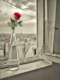 Flower Vase on Window