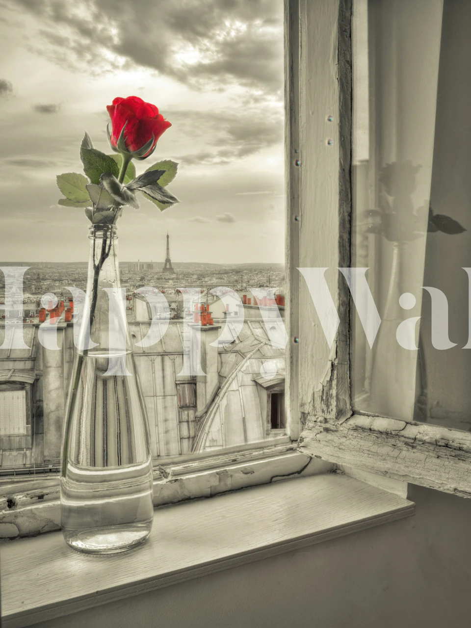 Single red rose in vase with Paris skyline view wallpaper