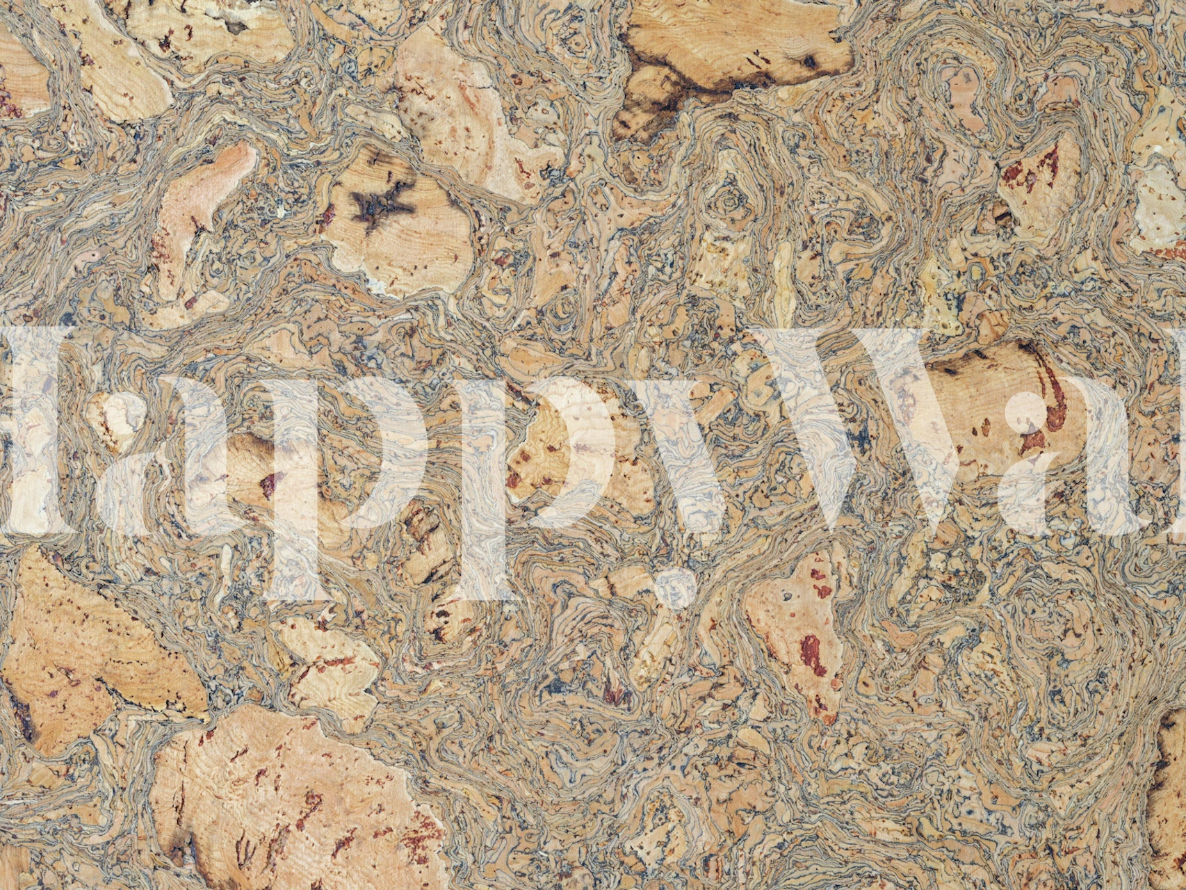 Swirled Natural Cork Texture tapet i ett rum