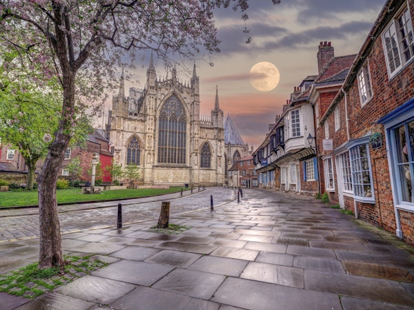 Charming Old Town Vista