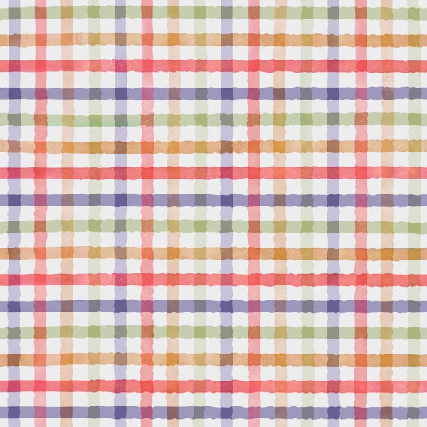 Hand-Painted Checkered Rainbow Plaid