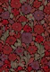 Endless Summer Countryside Vibes Flower Red