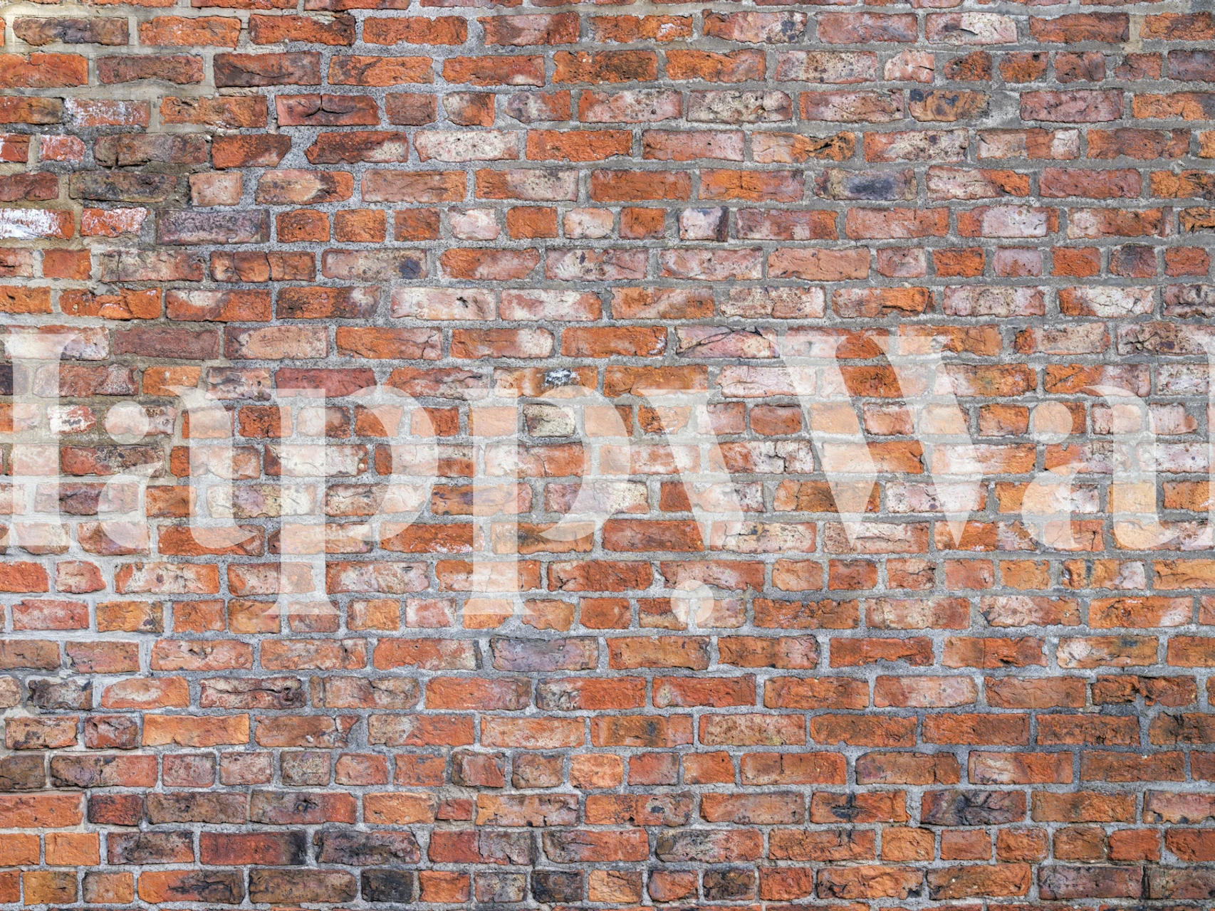 Weathered red brick wall wallpaper with rustic texture