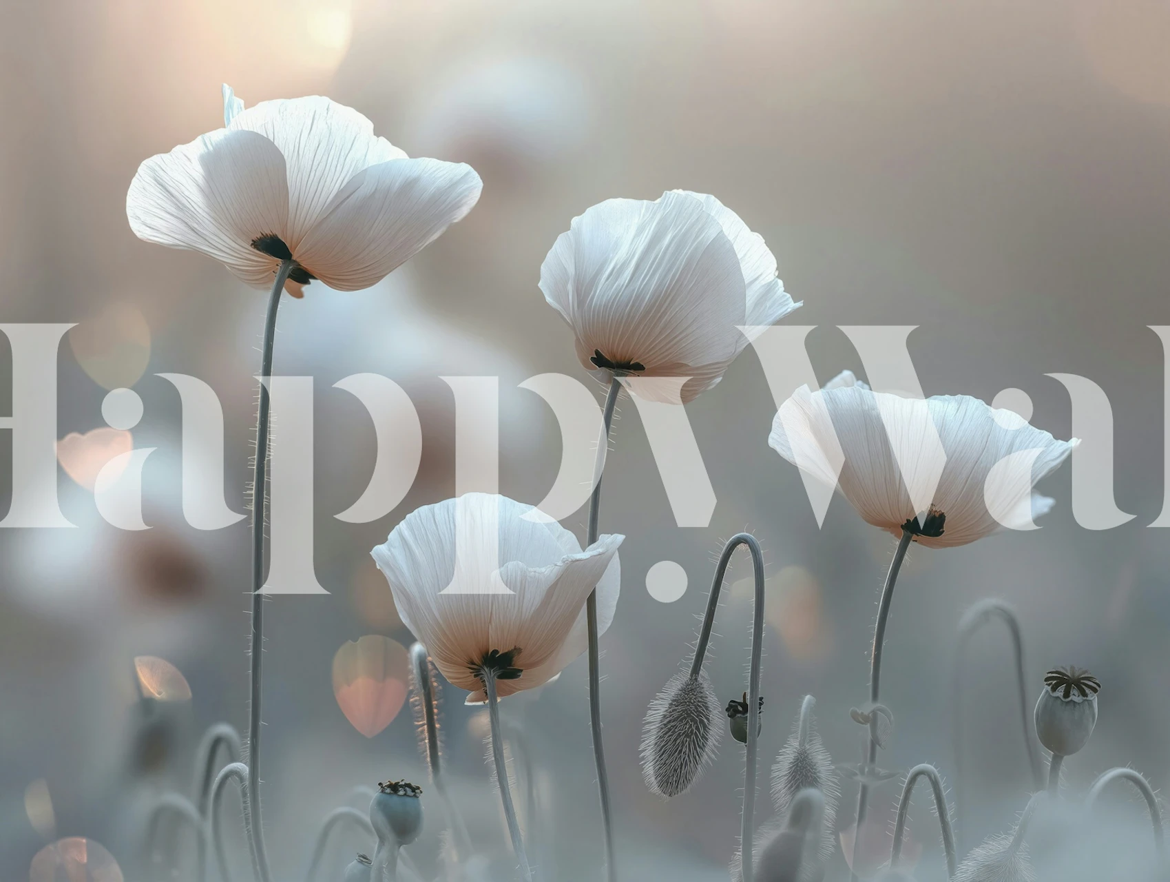 Whimsical White Poppies Tapete in einem Raum