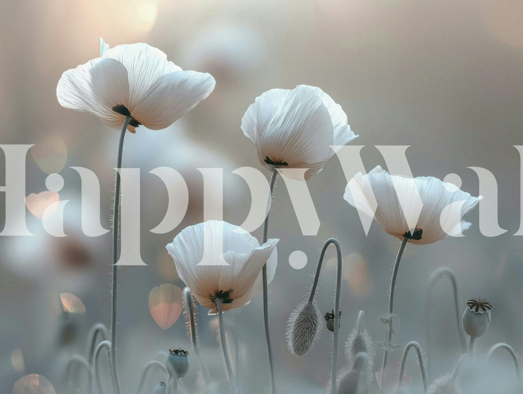 Whimsical White Poppies tapet i et rum