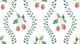 Strawberry stripe
